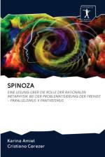 Spinoza af Karina Amiel