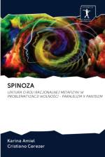 Spinoza af Karina Amiel