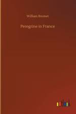 Peregrine in France