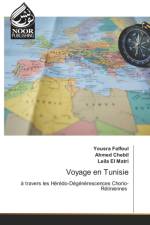 Voyage en Tunisie af Yousra Falfoul