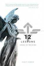 12 Lessons af Scott Guerin