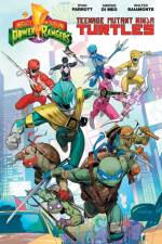 Mighty Morphin Power Rangers/Teenage Mutant Ninja Turtles