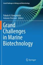 Grand Challenges in Marine Biotechnology