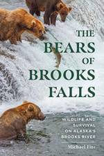 The Bears of Brooks Falls af Michael Fitz