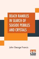 Beach Rambles In Search Of Seaside Pebbles And Crystals af John George Francis