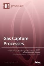 Gas Capture Processes af TOHID N. BORHANI