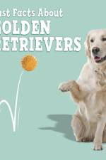 Fast Facts About Golden Retrievers af Marcie Aboff