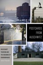 Postcards from Auschwitz af Daniel P. Reynolds