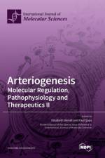 Arteriogenesis af Elisabeth Deindl