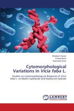 Cytomorphological Variations in Vicia faba L. af Shaheen Husain