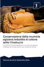 Conservazione della mummia egiziana imbottita di cotone sotto l'involucro af Venice Ibrahim Shehatta Attia
