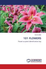 101 Flowers af Sumia Zafar