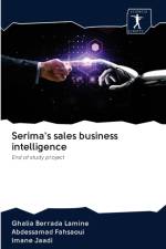 Serima's sales business intelligence af Imane Jaadi