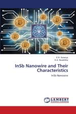 InSb Nanowire and Their Characteristics af E R Saranya
