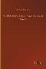 Determined Angler and the Brook Trout