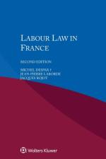 Labour Law in France af Michel Despax