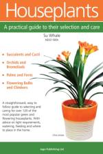 Houseplants