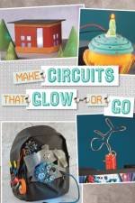 Make Circuits That Glow or Go
