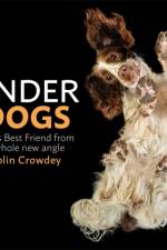Underdogs af Colin Crowdey