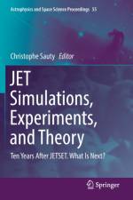 JET Simulations, Experiments, and Theory