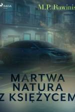 Martwa natura z księżycem af Marian Piotr Rawinis