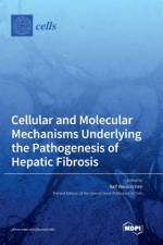 Cellular and Molecular Mechanisms Underlying the Pathogenesis of Hepatic Fibrosis