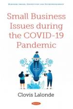 Small Business Issues during the COVID-19 Pandemic