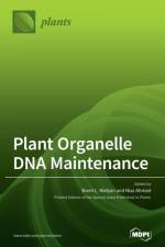 Plant Organelle DNA Maintenance