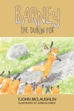Barney the Dublin Fox