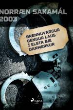 Brennuvargur gengur laus í elsta bæ Danmerkur af Ýmsir Höfundar