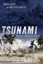 Tsunami af James (Honorary Professor of Tsunami Research Goff