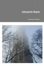 Utrecht Rain af Jonathan Wilkins