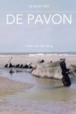 De ramp met de Pavon af Pieter Van Den Berg