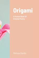 Origami af Melissa Davilio