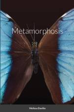Metamorphosis af Melissa Davilio