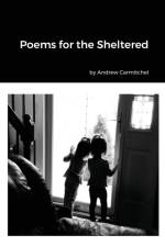 Poems for the Sheltered af Jim Burgett