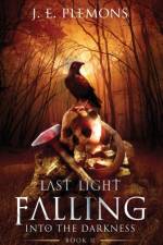 Last Light Falling - Into The Darkness, Book II af J E Plemons