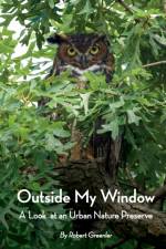 Outside My Window af Robert Greenler
