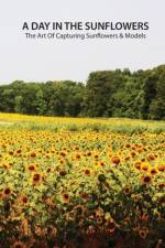 day in the sunflowers af Louis Jones