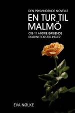 En tur til Malmö
