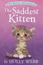 The Saddest Kitten