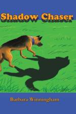 Shadow Chaser