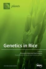 Genetics in Rice