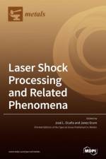 Laser Shock Processing and Related Phenomena