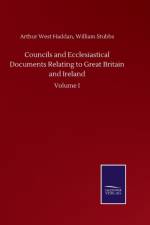 Councils and Ecclesiastical Documents Relating to Great Britain and Ireland af Arthur West Stubbs William Haddan