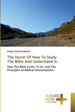 Secret Of How To Study The Bible And Understand It. af Brodan Daniel Nwabufoh