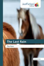 Last Rain af Mehran Zaeri