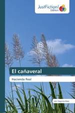 canaveral af Iván Segarra-Báez