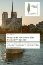 Analyse de Paris mon Bled d'Elalamy Youssouf af Zineb El Kadri