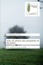 vie pleine des peripeties et de grace af Kabuyaya Mututulo Joseph